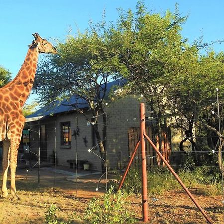 Marulani Bush Lodge Klipdrift Exterior photo