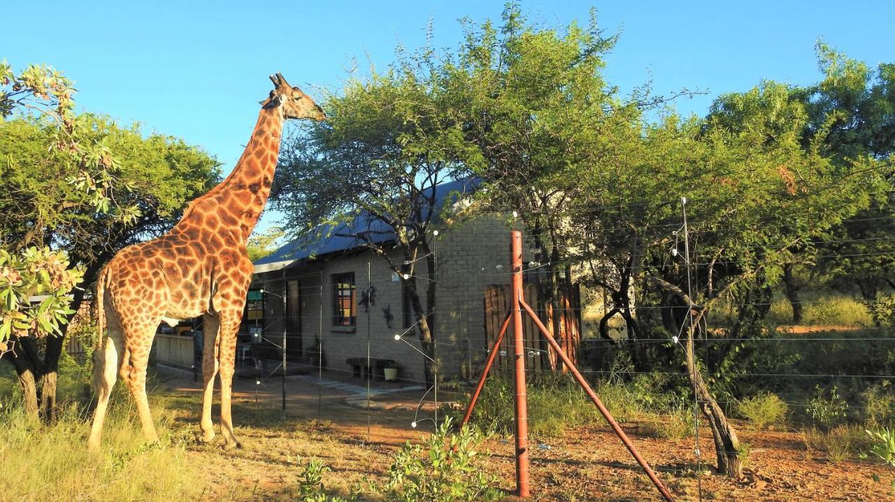 Marulani Bush Lodge Klipdrift Exterior photo