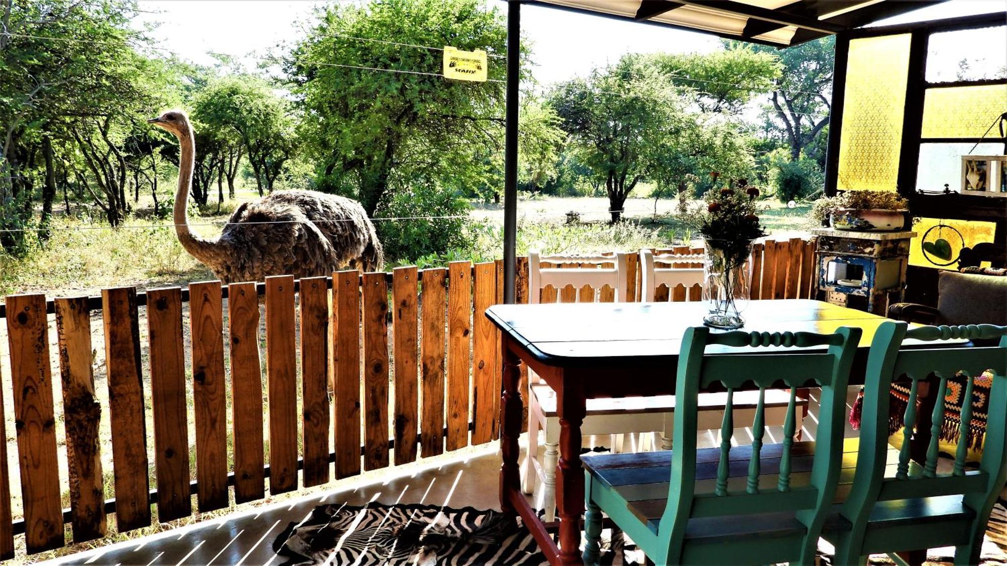Marulani Bush Lodge Klipdrift Exterior photo