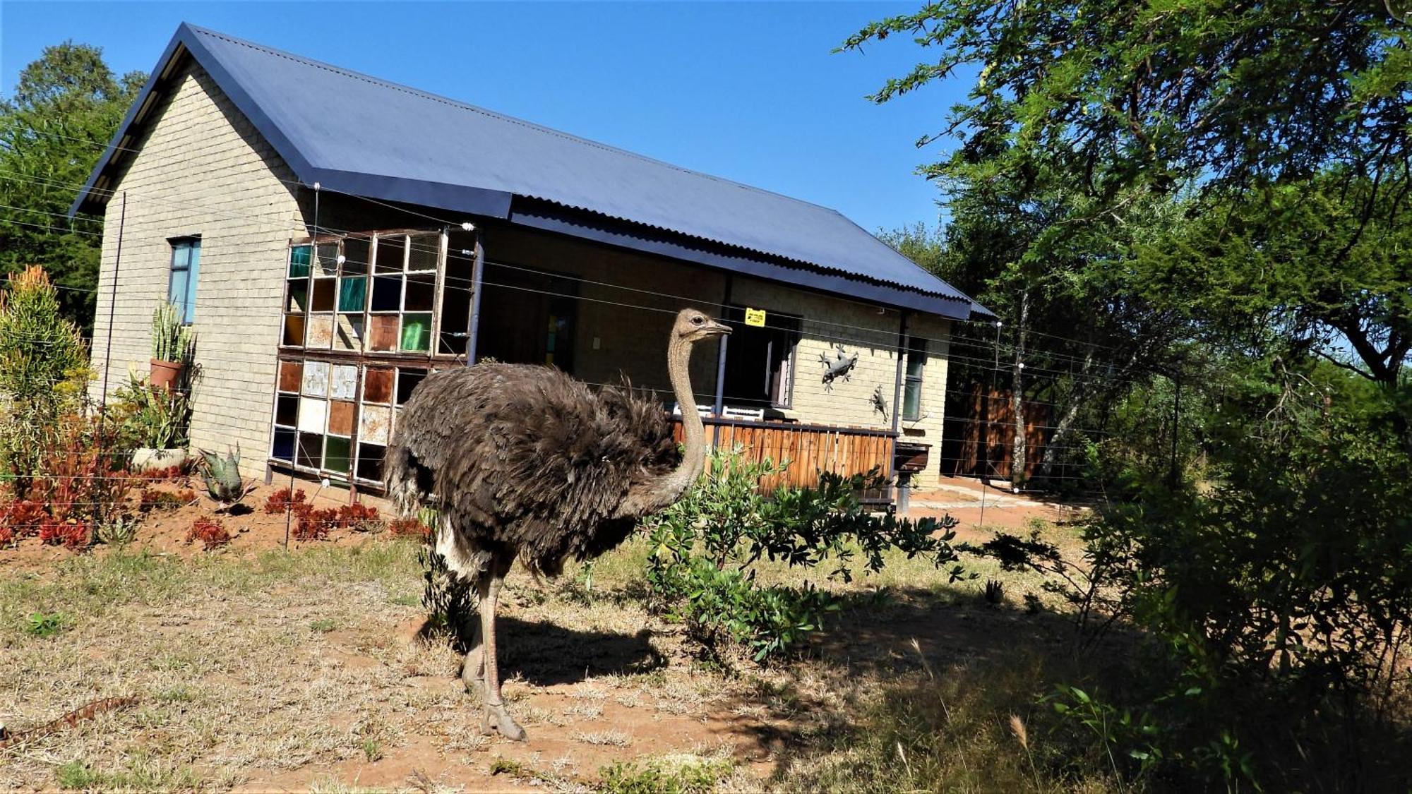 Marulani Bush Lodge Klipdrift Exterior photo